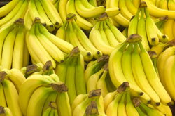 Fresh Bananas