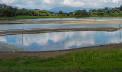 aquaculture