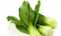 Bok Choy