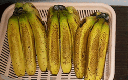 Untreated bananas