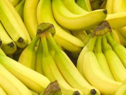 Getting bananas to market