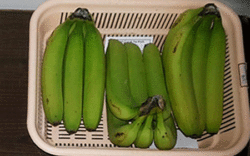 bananas treated with BiOWiSH