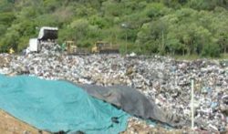 landfill-leachate-treatment-columbia