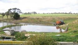 manure lagoon in australia