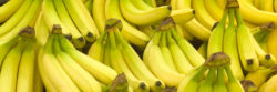 Bananas