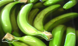 Bananas being washed