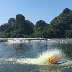 Aquaculture shrimp pond in Vietnam