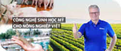 chế phẩm sinh học, che pham sinh hoc, biowish, men vi sinh, chế phẩm sinh học em