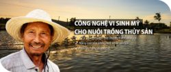 chế phẩm sinh học, che pham sinh hoc, biowish, men vi sinh, chế phẩm sinh học em