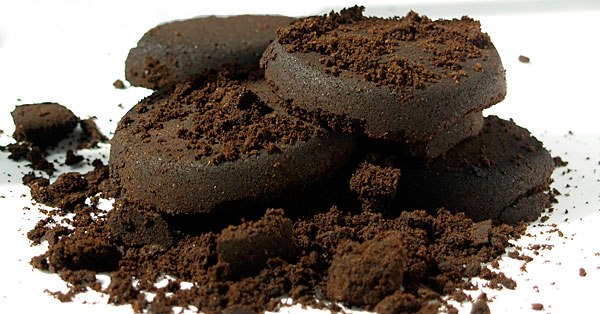 Phần bã sau khi pha cafe có thể trở thành nguồn cung cấp dinh dưỡng hữu ích cho đất.