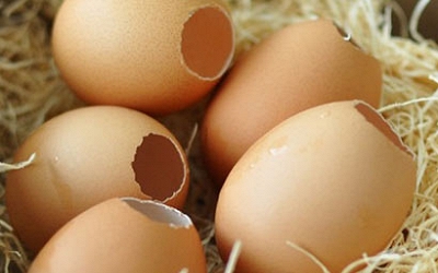 Rắc vỏ trứng xung quan gốc cây là cách đơn giản, tiết kiệm để cung cấp canxi cho đất.
