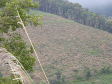 Hơn 1 triệu hecta đất nông nghiệp khu vực Tây Nguyên bị thoái hóa nặng